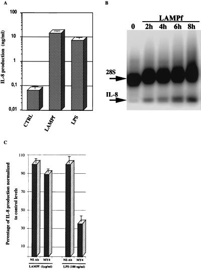 FIG. 1