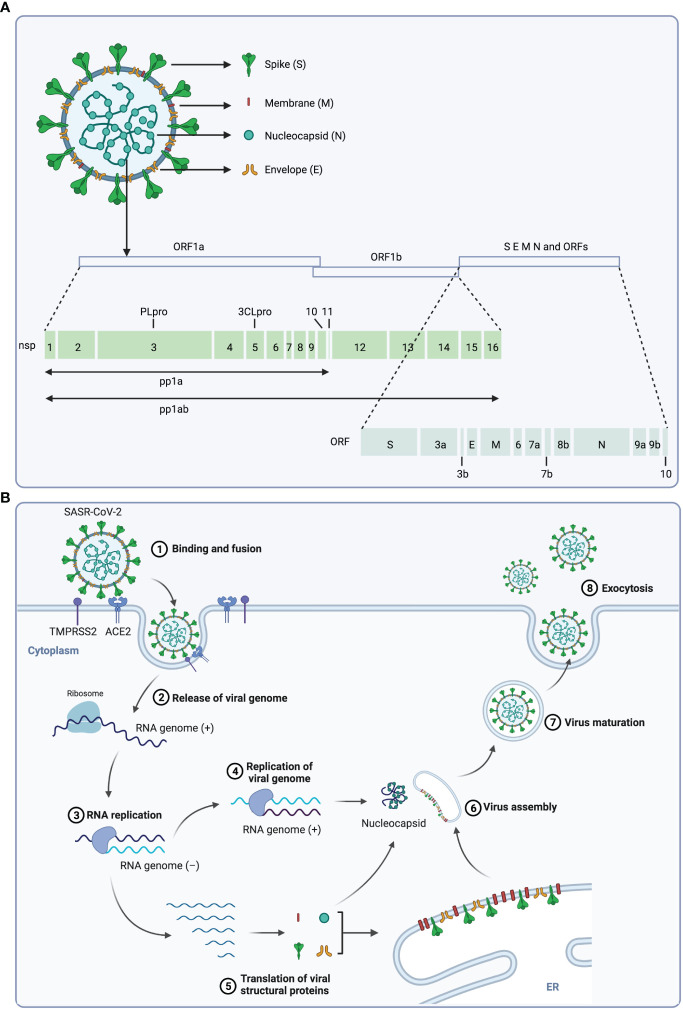 Figure 1