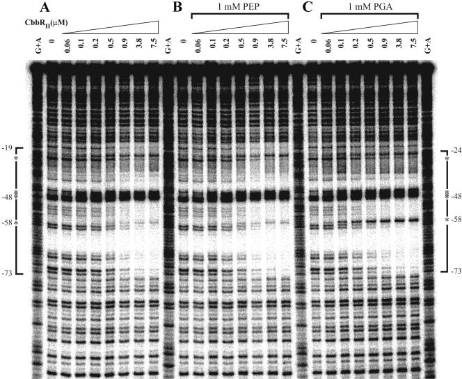 FIG. 6.