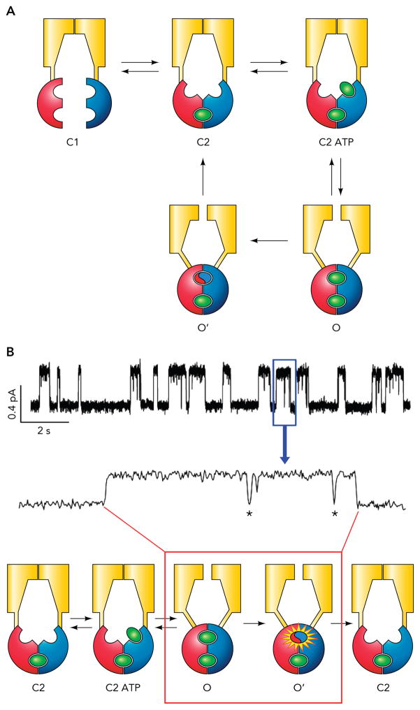 FIGURE 2