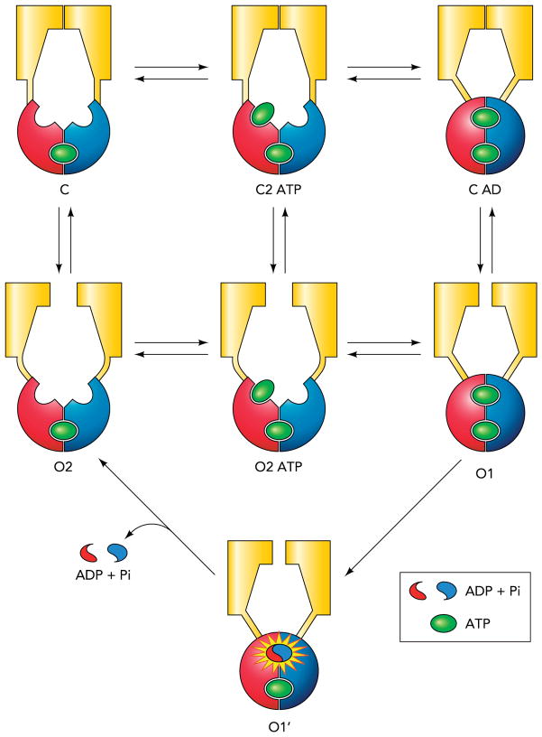 FIGURE 4