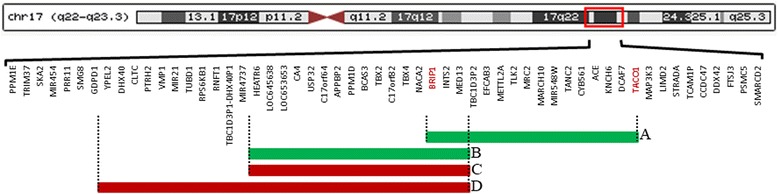 Fig. 1