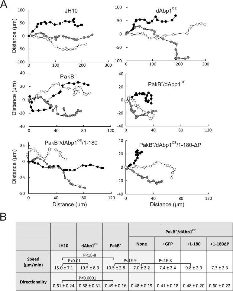 FIGURE 7: