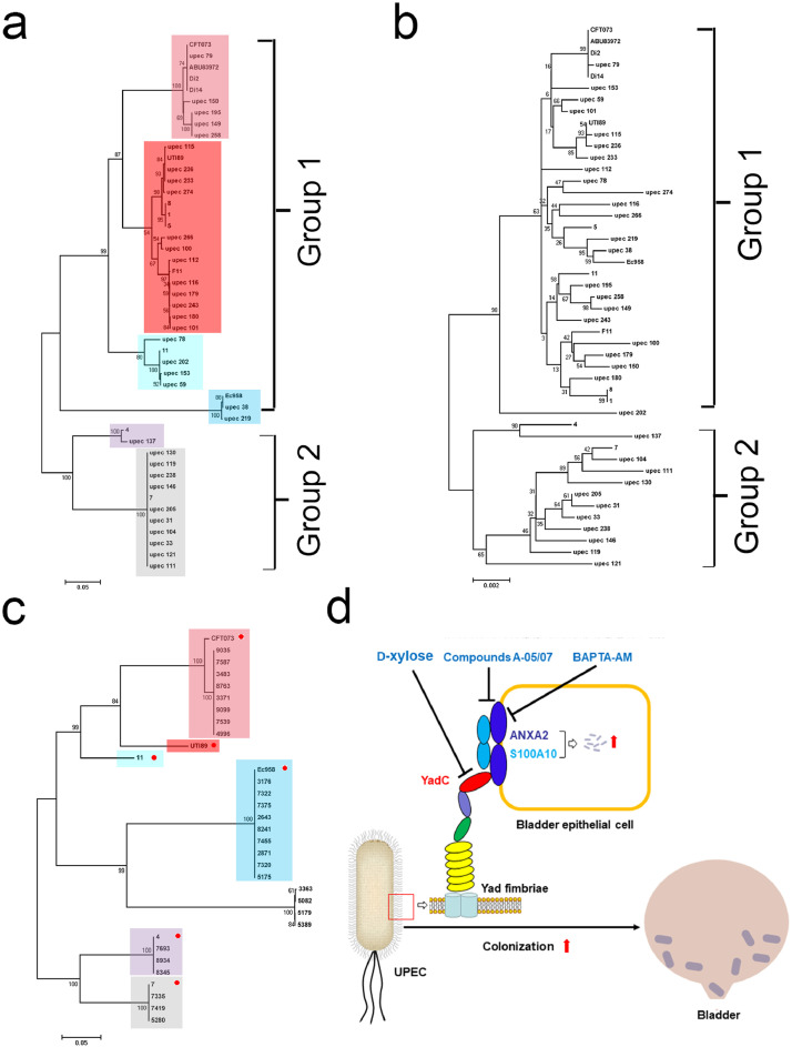 Fig 6