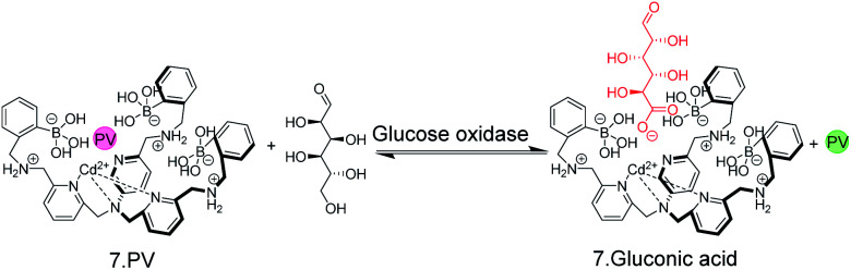 Fig. 8