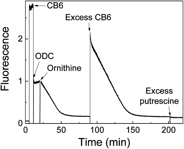 Fig. 32