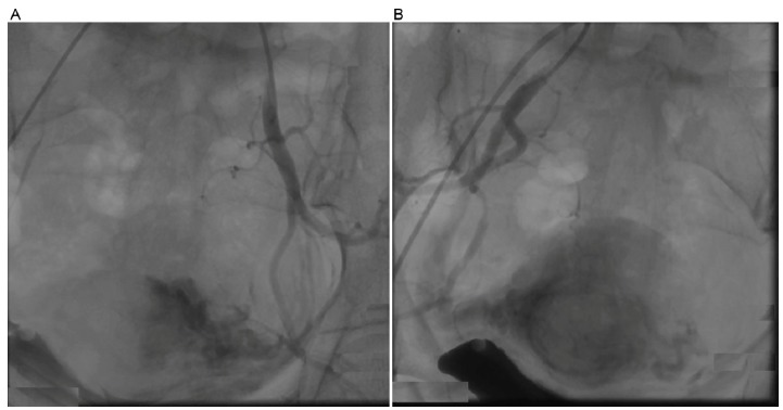 Fig. (2)