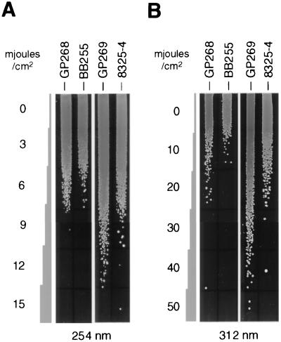 FIG. 7