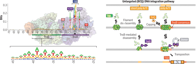 graphic file with name nihms-1951378-f0006.jpg