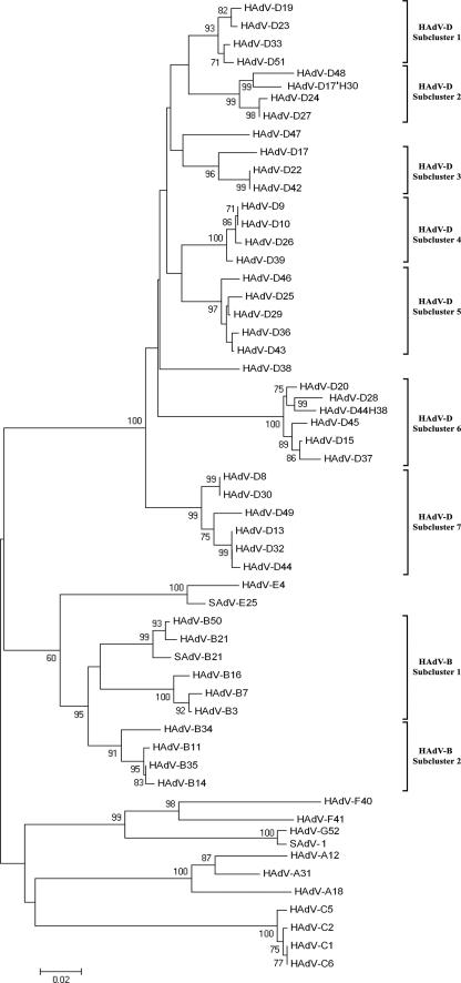 FIG. 2.