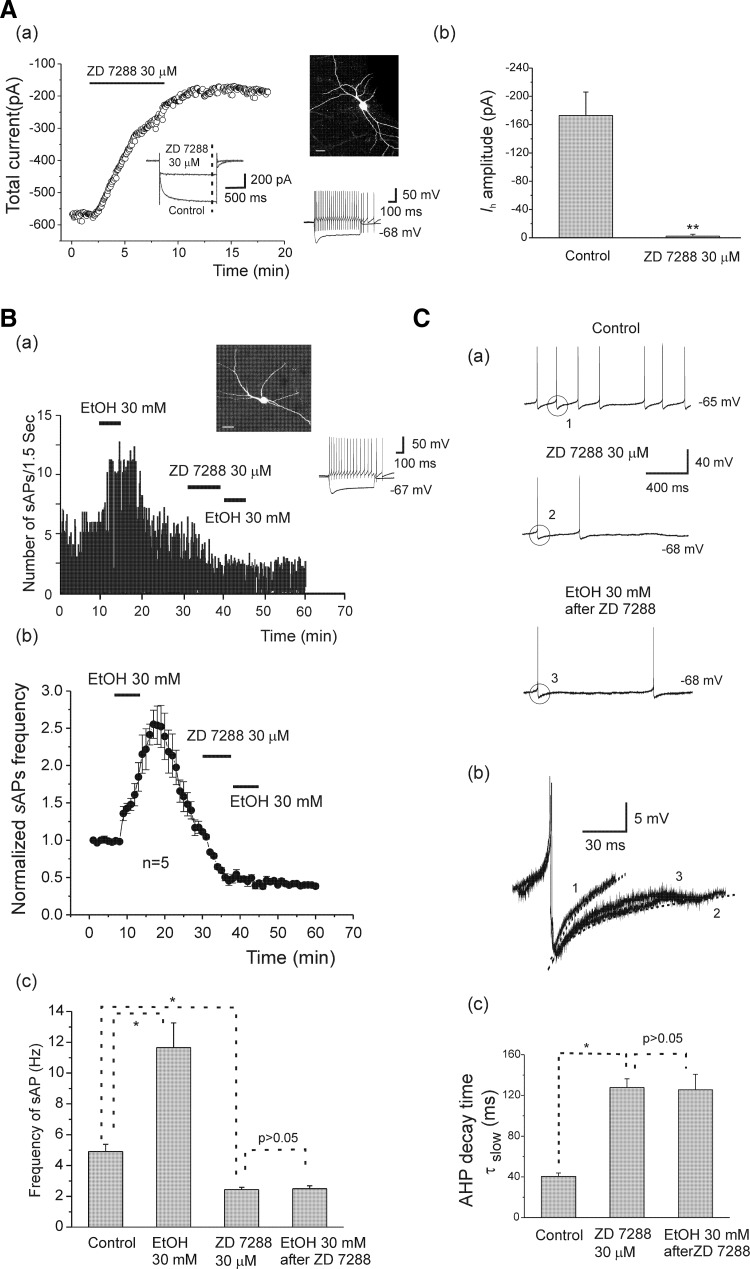 FIG. 6.