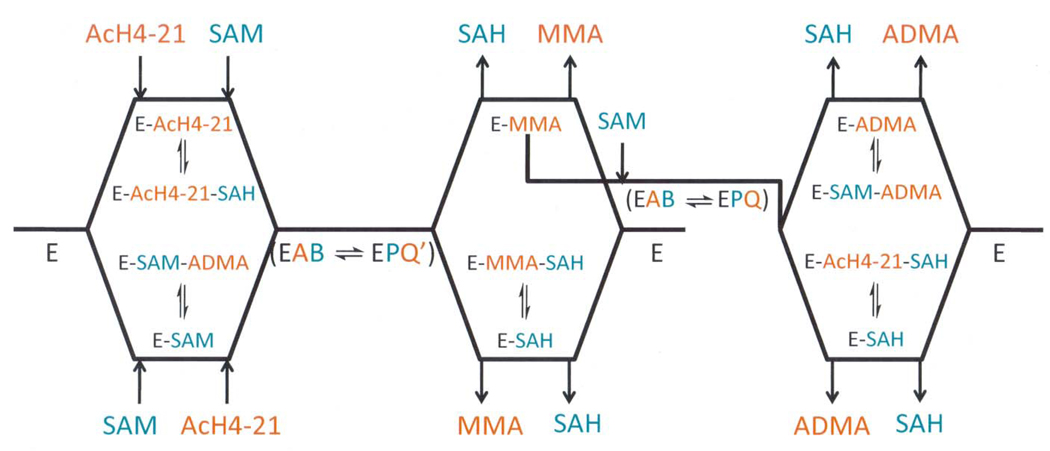 Scheme 2