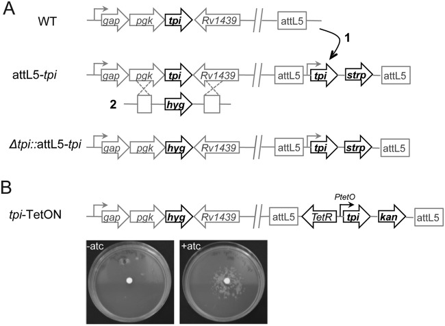 FIG 1 