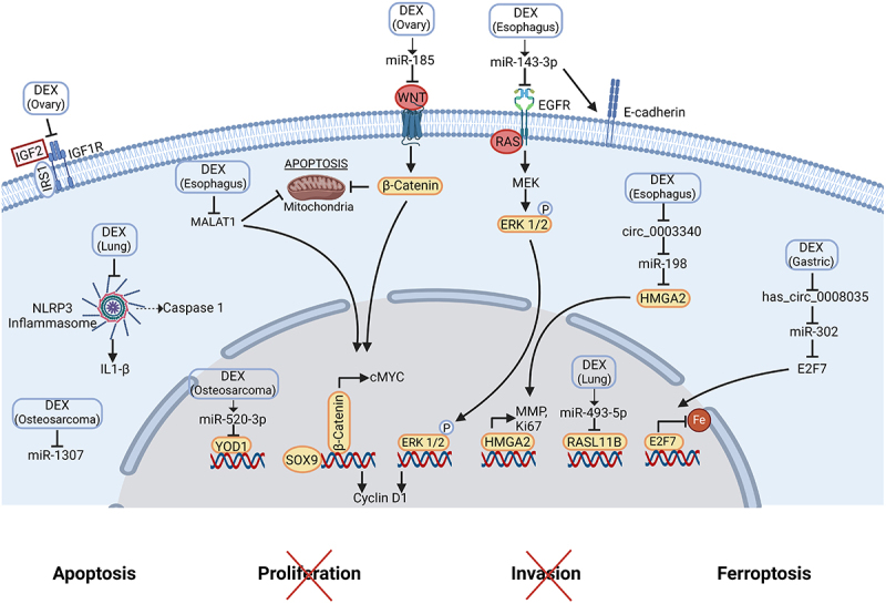 Figure 3.