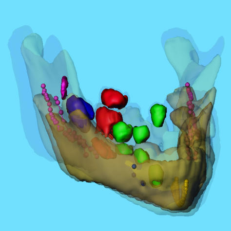 Fig. 10