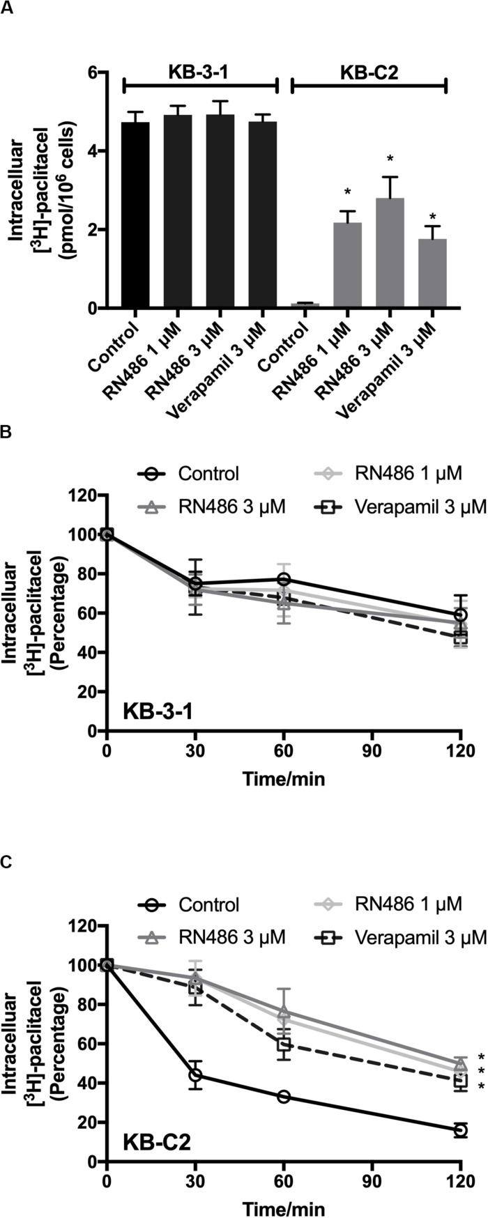 FIGURE 3