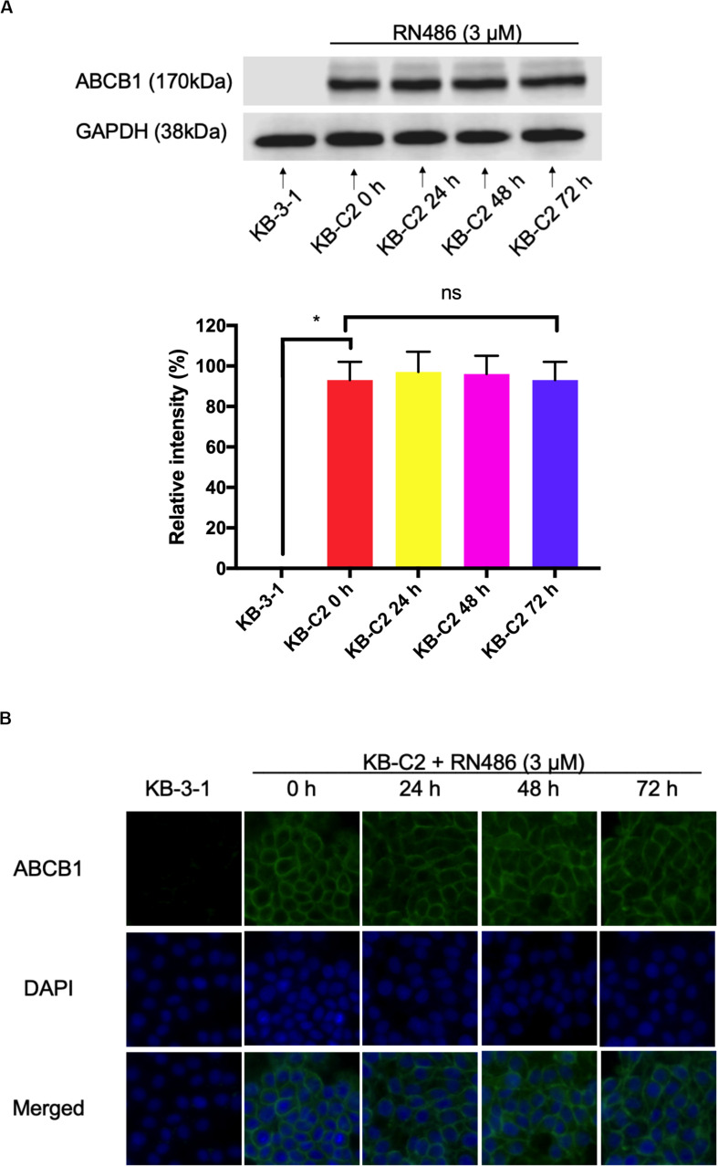 FIGURE 2