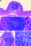 FIG. 4.