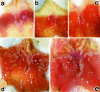 FIG. 1.