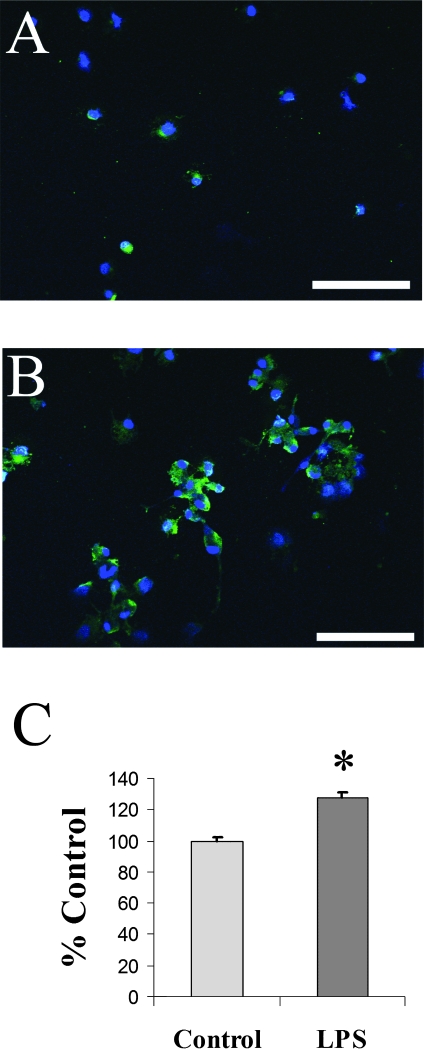 FIG. 8.