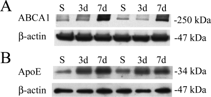 FIG. 5.