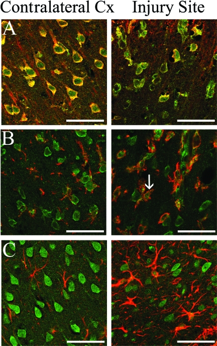 FIG. 6.