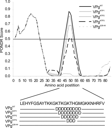 FIG. 3.