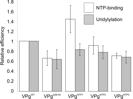 FIG. 4.