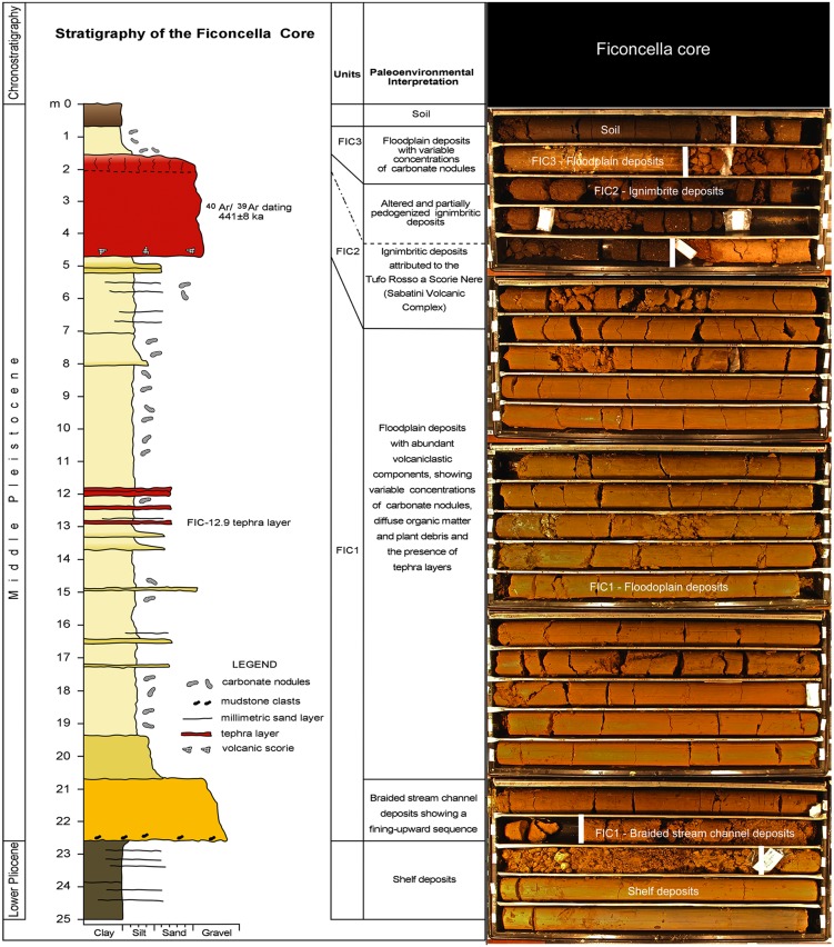 Fig 3