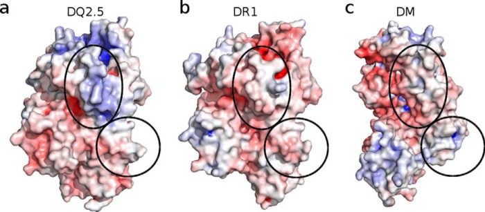 Figure 6.