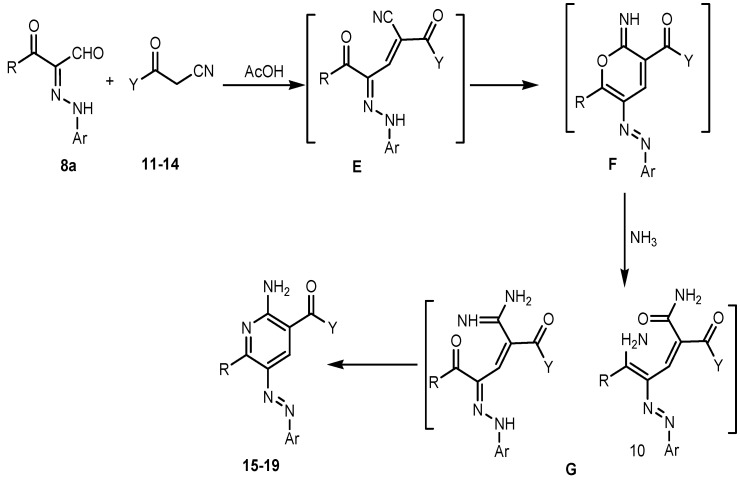 Scheme 6