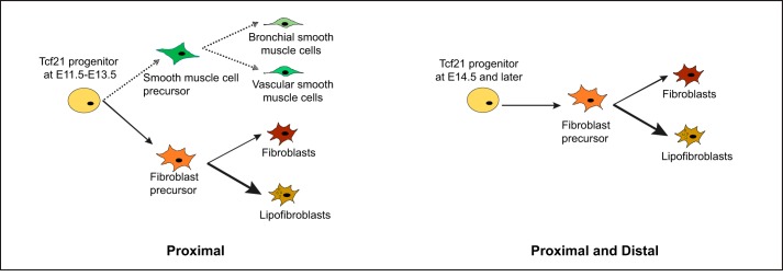 Fig. 8.