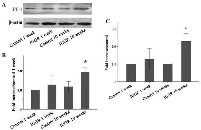 Figure 1.