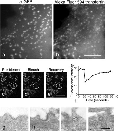 Figure 10.