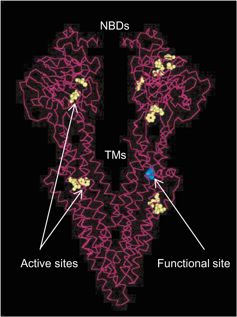 Fig. 8.