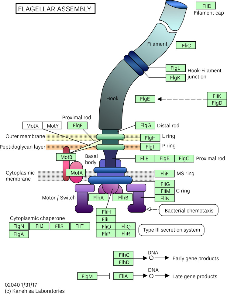 Fig. 6