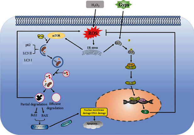 Figure 15