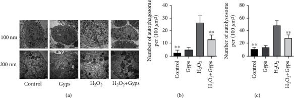 Figure 14