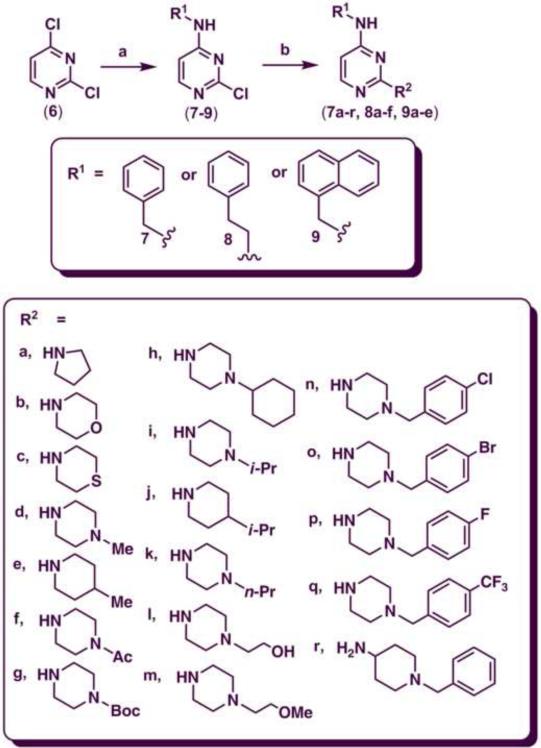 Scheme 1