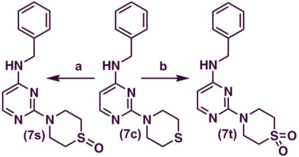 Scheme 2