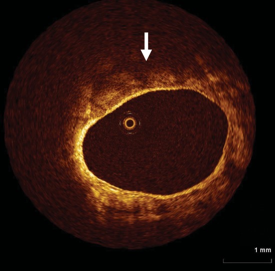 Figure 7