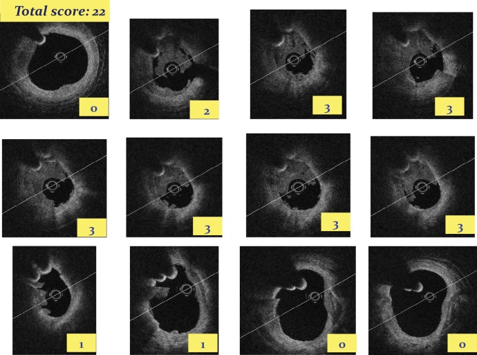 Figure 6