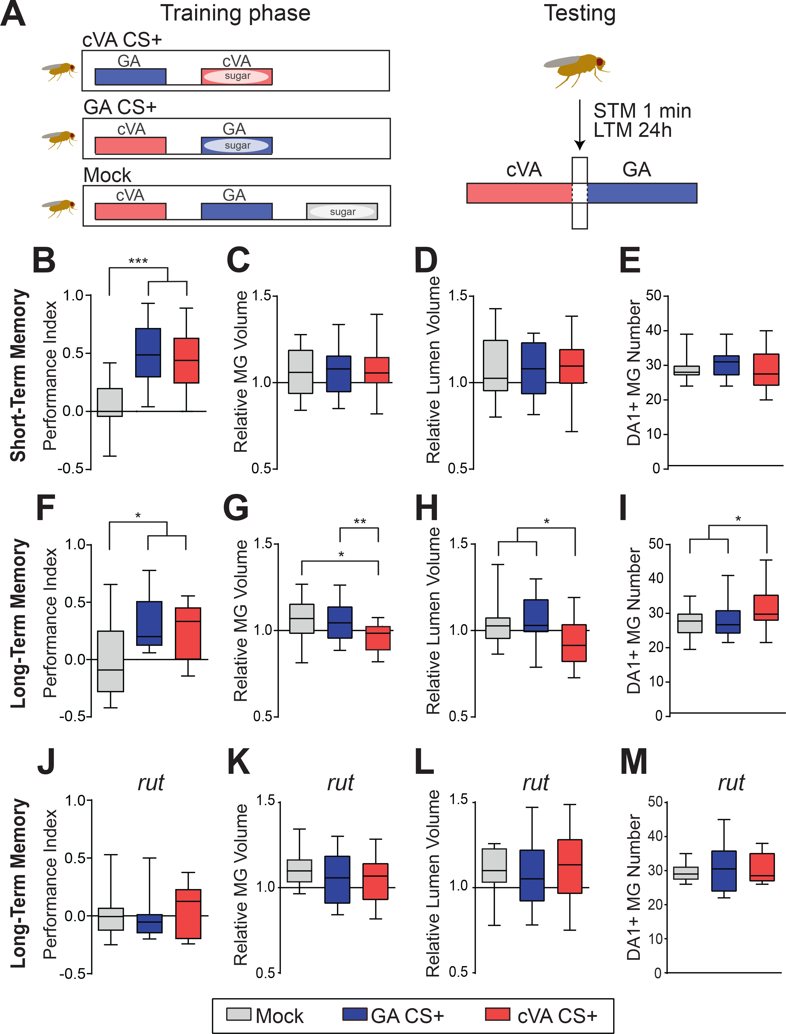 Figure 2 |