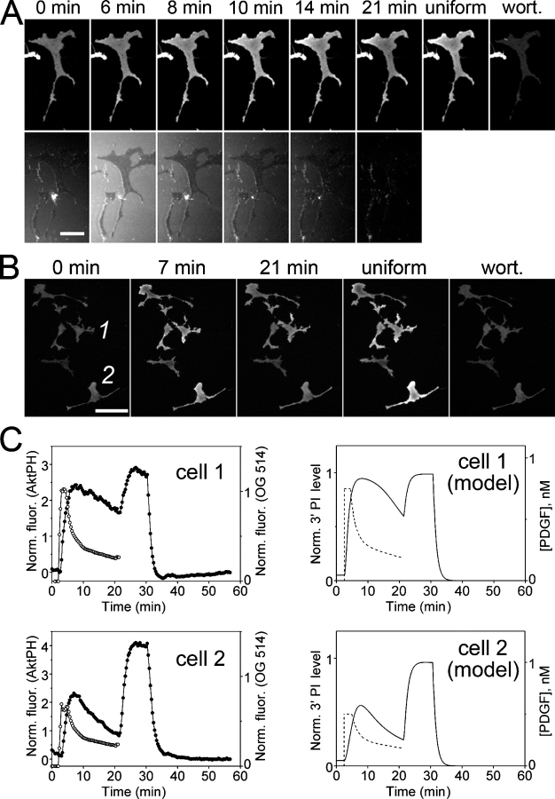 Figure 5.