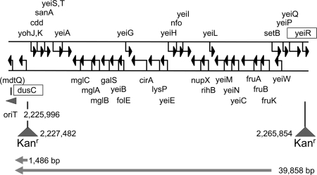 FIG. 7.