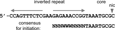 FIG. 1.