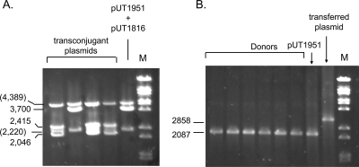 FIG. 6.