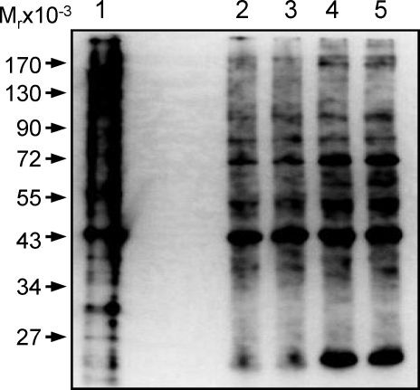 FIG. 5.