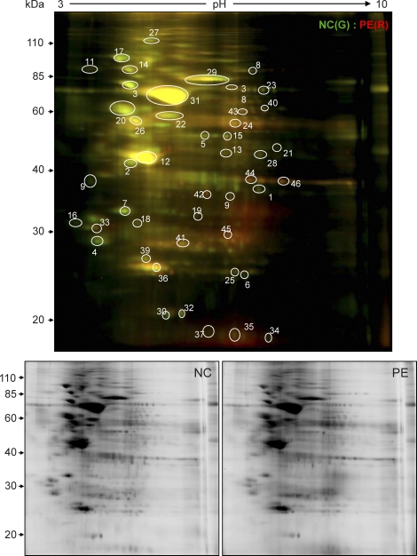 FIG. 4.