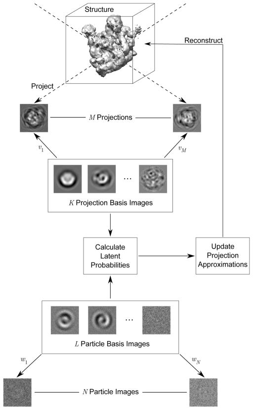 Fig. 1